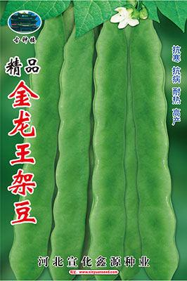 精品金龙王——架豆